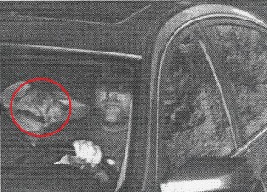 Evidence that Joe was not only speeding, but speeding WITH an innocent canine passenger. Unglaublich!