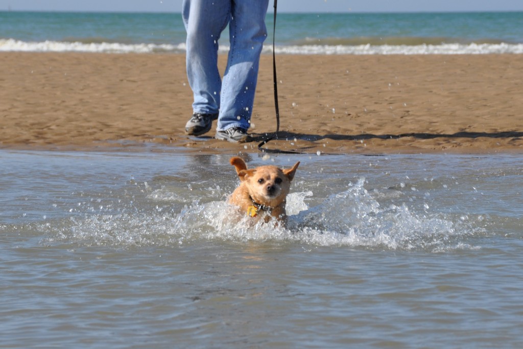 swimming