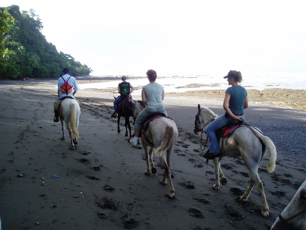 Horses in Costa Rica