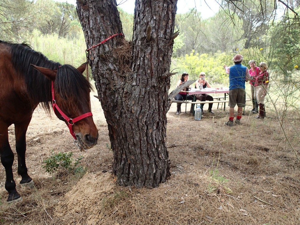 Lunch for everyone!