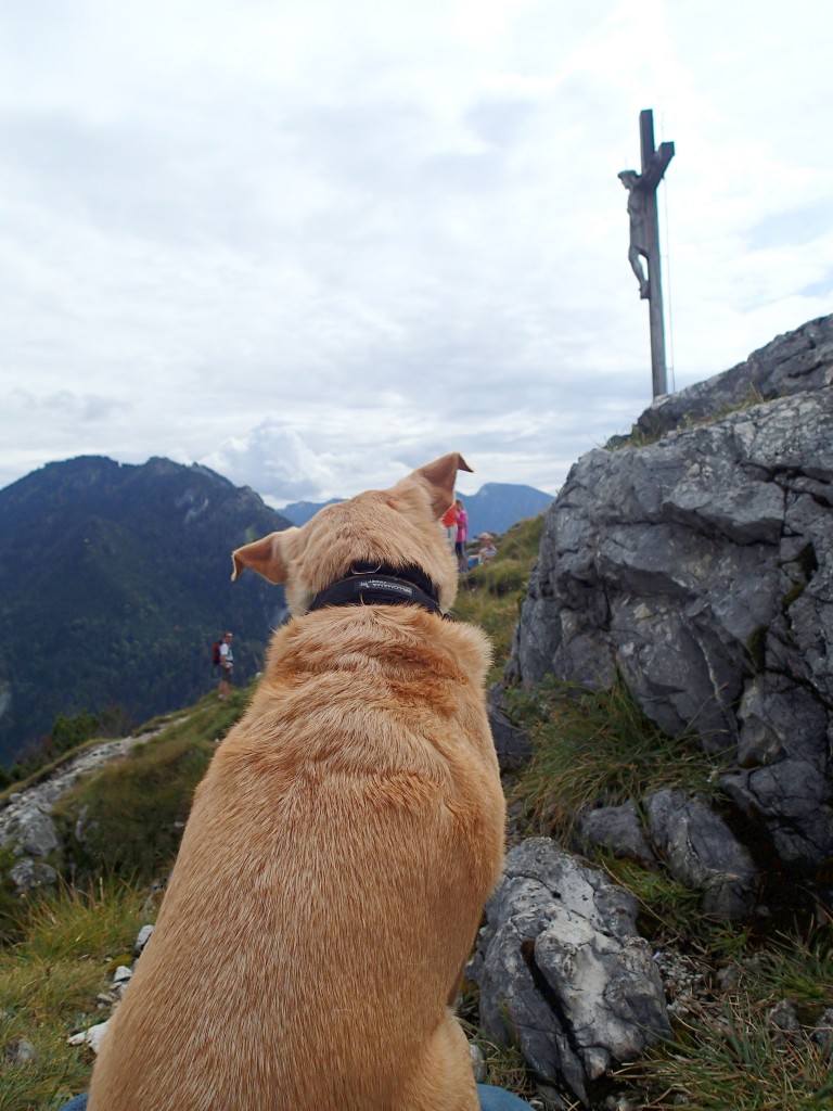 We were actually not the only idiots who brought our dog up here. One guy had his large Hund over his shoulders. Crazy Germans!