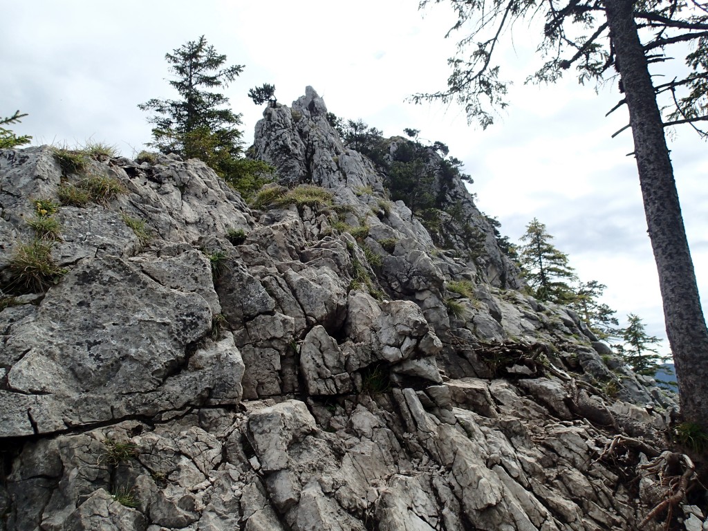 Just a few more steps to the summit!