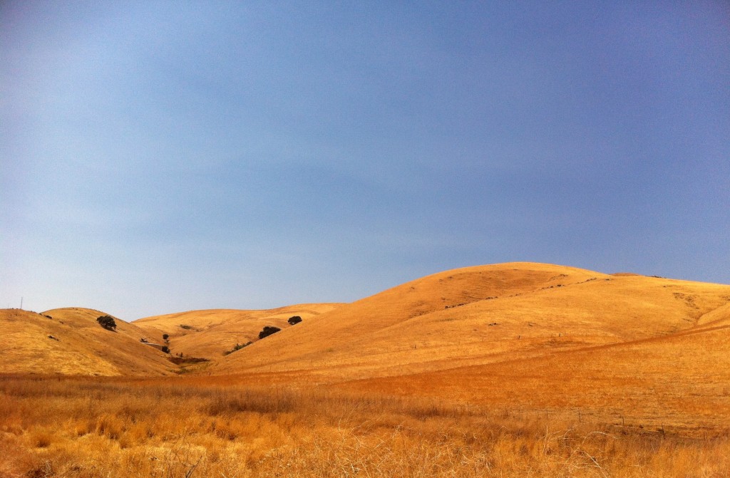 The Golden State (no filters or color boosting here - CA really needs water!)